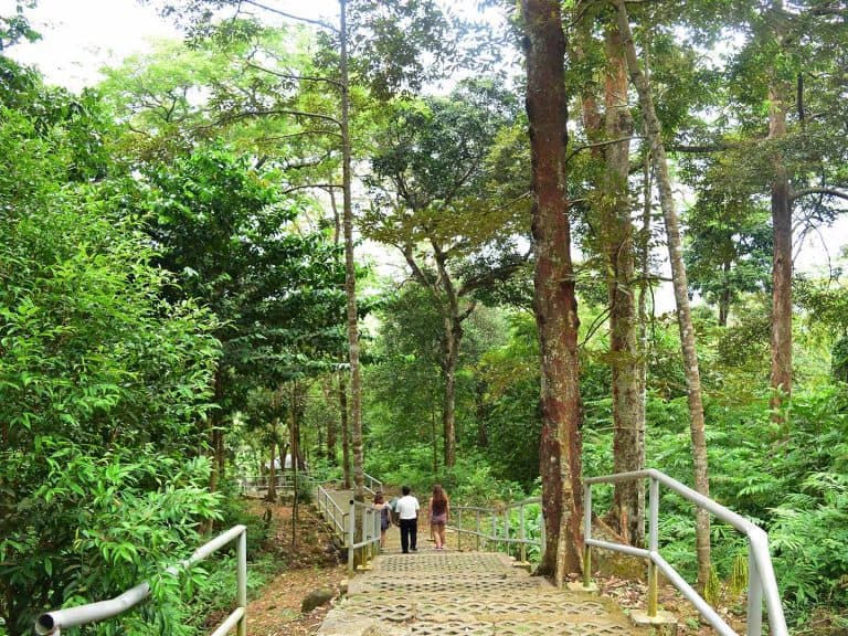 Bintan Mountain Tracking